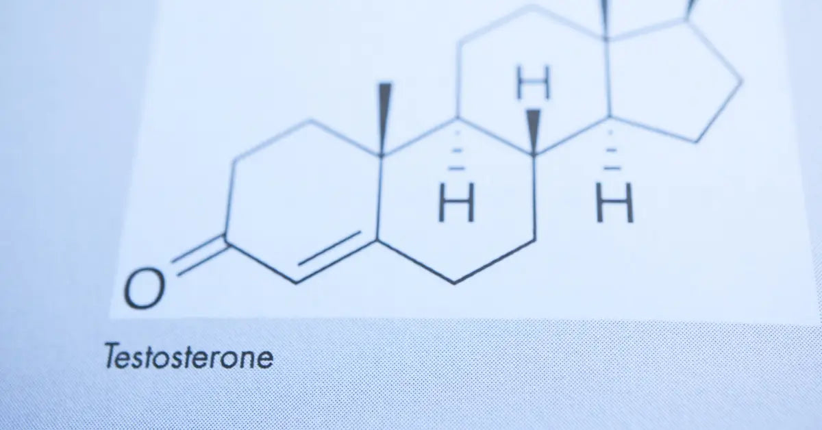 What are normal Testosterone levels for Modern Men?