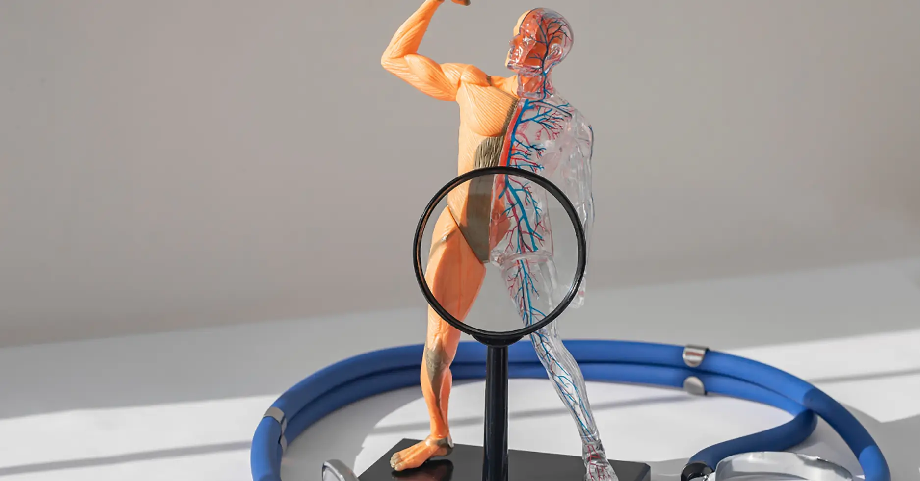 What men need to know about testosterone and why.